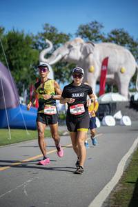 BIB: 
                            <button type="button" onclick="openModal(26542860)" class="btn btn-primary btn-sm float-right btn-popup" data-toggle="modal" data-target=".modal-high-quality">
                        <i class="fas fa-shopping-cart"></i> Add to Cart
                    </button>
                                            <button type="button" onclick="isThisMe(26542860, true)" class="btn btn-success btn-sm float-right btn-popup btn-isme hidden" data-toggle="tooltip" data-placement="bottom" title="นี่คือรูปของคุณใช่ไหม คลิกที่นี่เพื่อเอาเข้าอัลบั้ม">
                        <i class="fas fa-plus"></i> Add to album
                    </button>
                    <button type="button" onclick="isThisMe(26542860, false)" class="btn btn-warning btn-sm float-right btn-popup btn-isnotme hidden">
                        <i class="fas fa-ban"></i> Remove from album
                    </button>